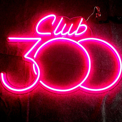 Signe acrylique 12VDC de lampe au néon de rose de bâti de mur d'enseigne au néon de LED