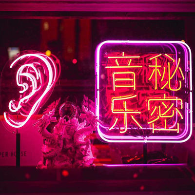 Les tubes de verre ont mené la lampe au néon au néon flexible de bande vers le haut du CE de signe