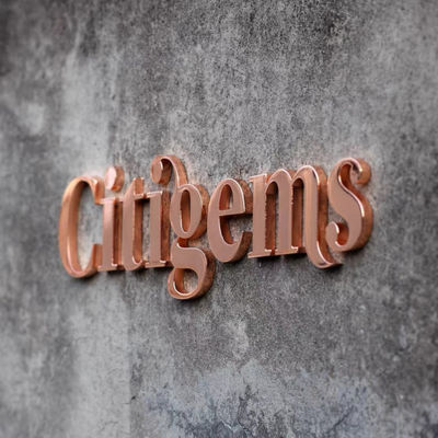 CE en aluminium ROHS de lettre de la Manche d'acier de Cutted Logo Metal Letter Sign Stainless