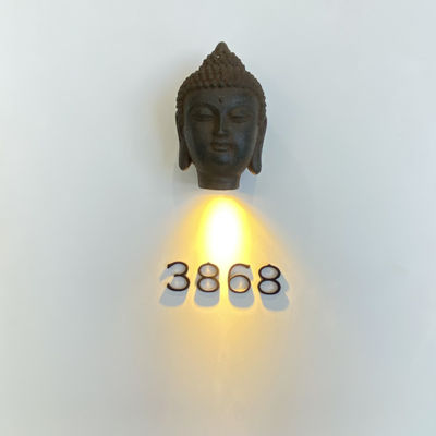 Illuminé 304 signes d'adresse en métal d'acier inoxydable vissez le bâti